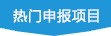 热门申报项目