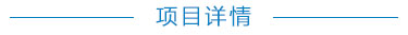 项目详情
