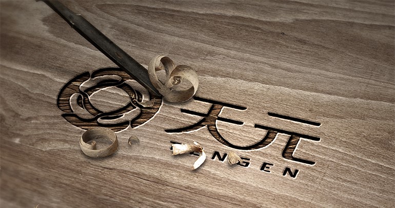 广东天元实业集团股份有限公司生物可降解塑料制品（全降解快递袋、全降解背心袋、全降解封箱胶带）