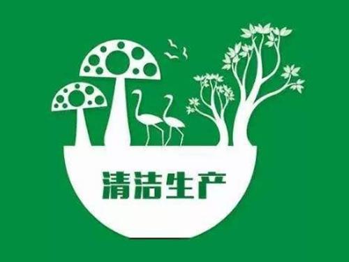 清洁生产审核评估验收典型案例分享